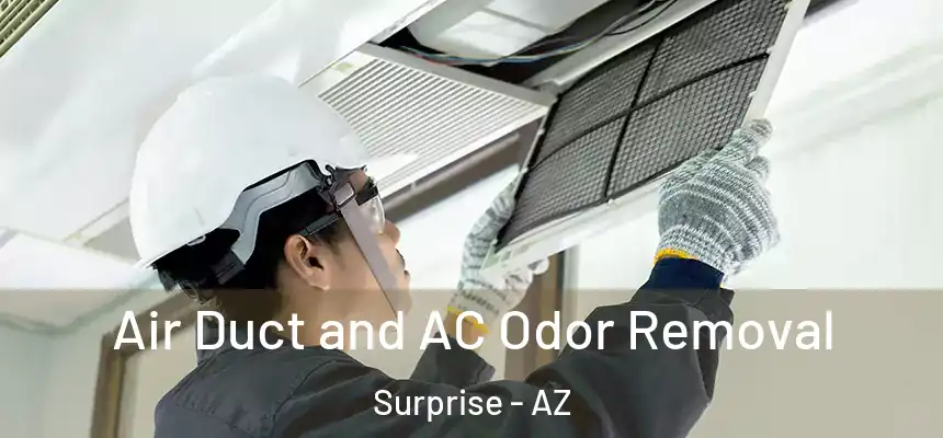 Air Duct and AC Odor Removal Surprise - AZ