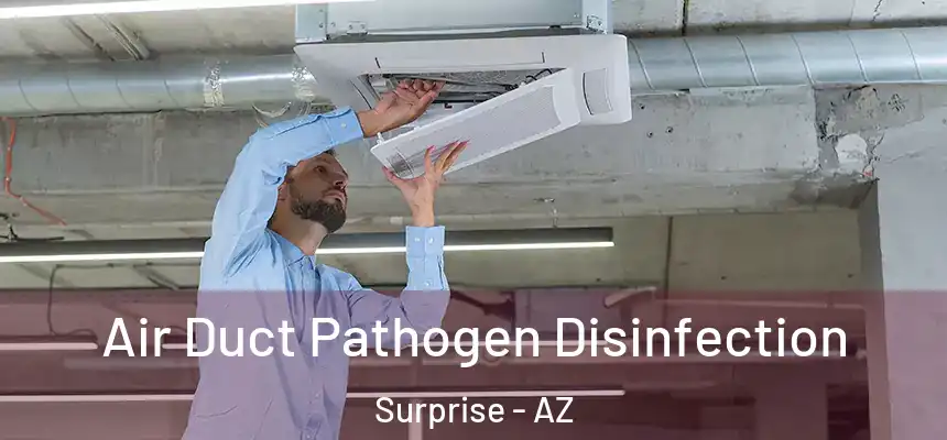 Air Duct Pathogen Disinfection Surprise - AZ