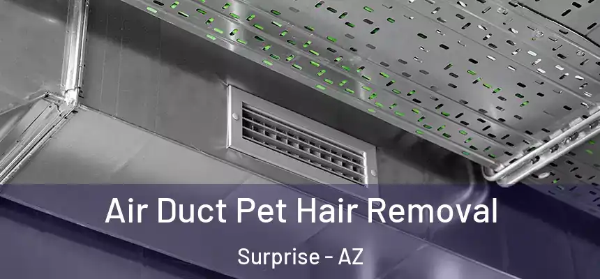  Air Duct Pet Hair Removal Surprise - AZ