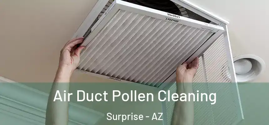 Air Duct Pollen Cleaning Surprise - AZ