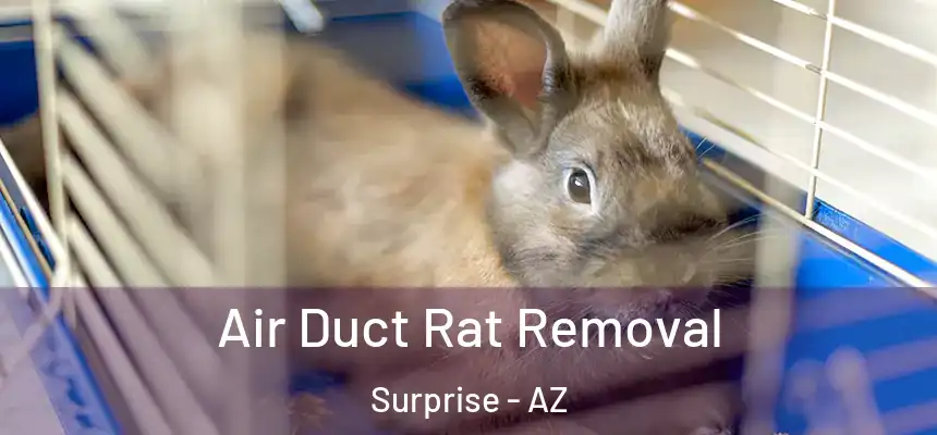  Air Duct Rat Removal Surprise - AZ