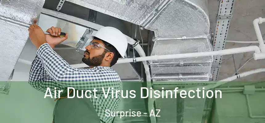 Air Duct Virus Disinfection Surprise - AZ