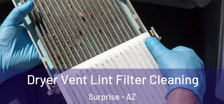  Dryer Vent Lint Filter Cleaning Surprise - AZ