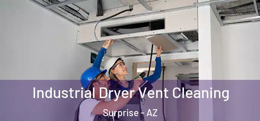 Industrial Dryer Vent Cleaning Surprise - AZ