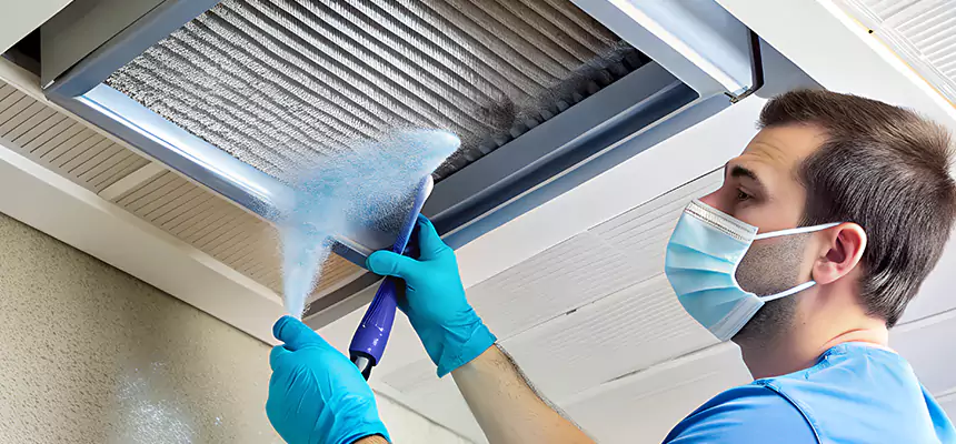 Proactive Dryer Vent & Auxiliary Duct Pollen Cleanup in Surprise, AZ
