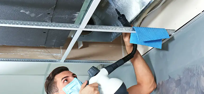 Our Air Duct Rodent Removal Services in Surprise, AZ