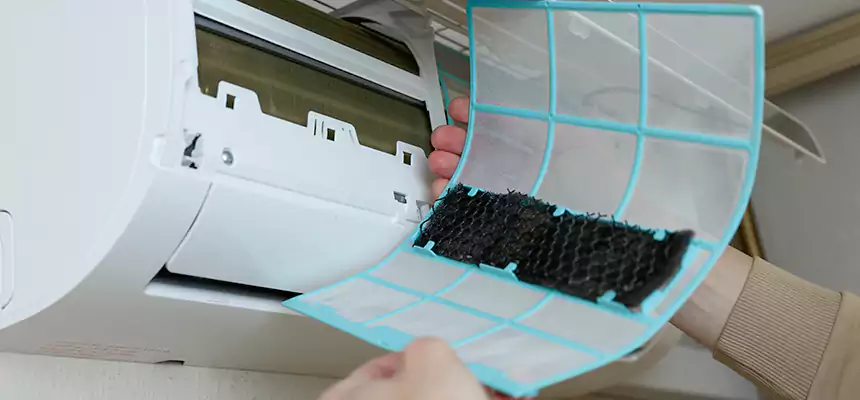 Gentle Ductwork Odor-Control Pet Dander Duct Cleaning in Surprise, AZ