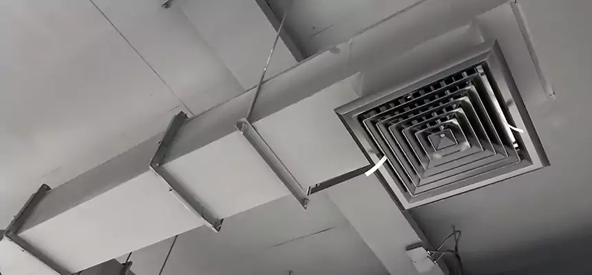 Our Rodent Droppings In Vents Services in Surprise, AZ