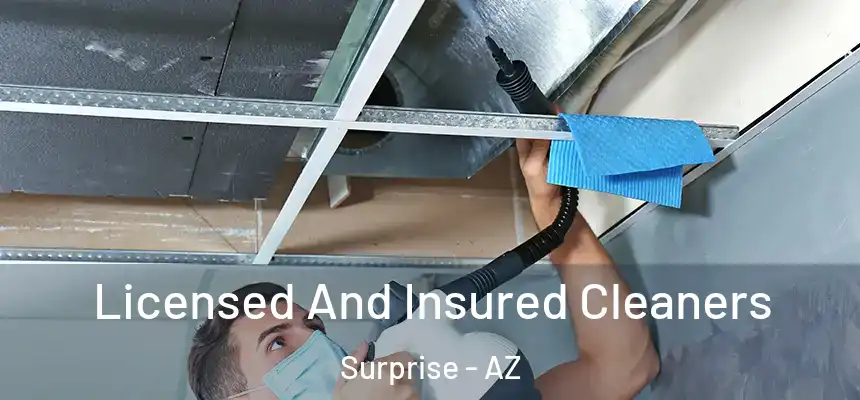 Licensed And Insured Cleaners Surprise - AZ