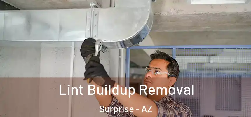  Lint Buildup Removal Surprise - AZ