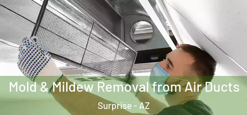 Mold & Mildew Removal from Air Ducts Surprise - AZ
