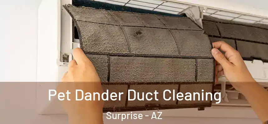 Pet Dander Duct Cleaning Surprise - AZ