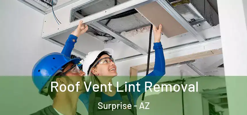 Roof Vent Lint Removal Surprise - AZ