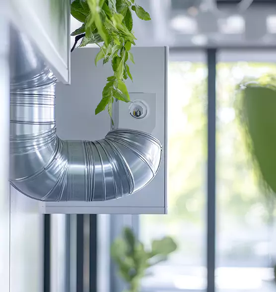 Professional Eco-Safe Dryer Vent Cleaning in Surprise, AZ