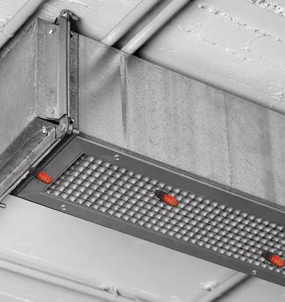 Affordable Insect Removal from Air Ducts in Surprise, AZ