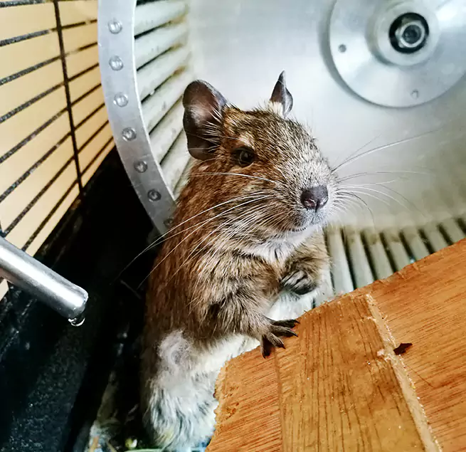 Why Homeowners & Businesses Trust Us Surprise, AZ?