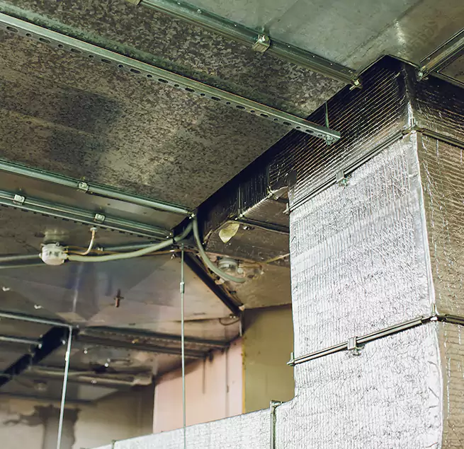 Why Homeowners & Businesses Trust Us in Surprise, AZ?