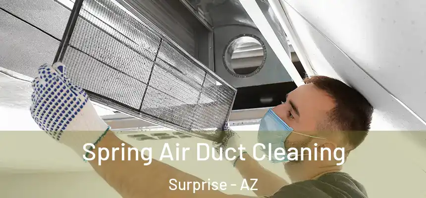 Spring Air Duct Cleaning Surprise - AZ