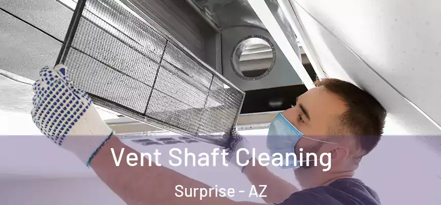 Vent Shaft Cleaning Surprise - AZ